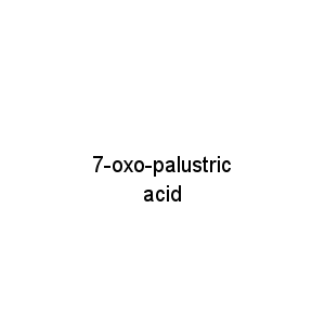 7-oxo-palustric acid